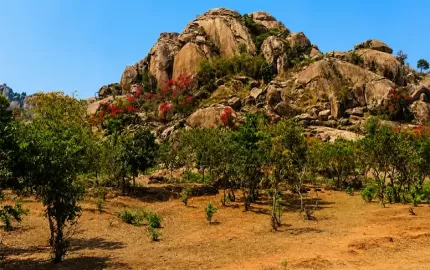Geological Significance of the Singhbhum Craton